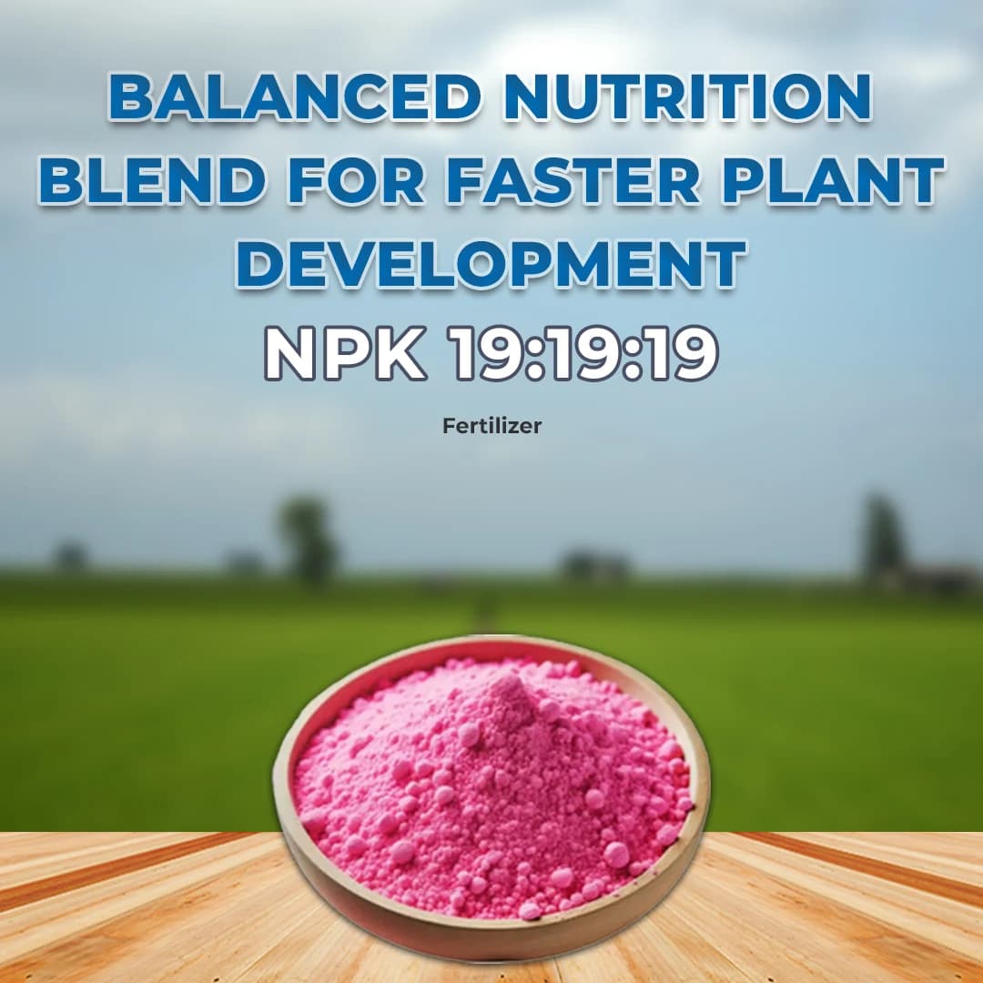 GACIL Plus Complete NPK 19:19:19 Fertilizer For Lush Vegetables, Juicy Fruits, And Stunning Flowers - Image 2