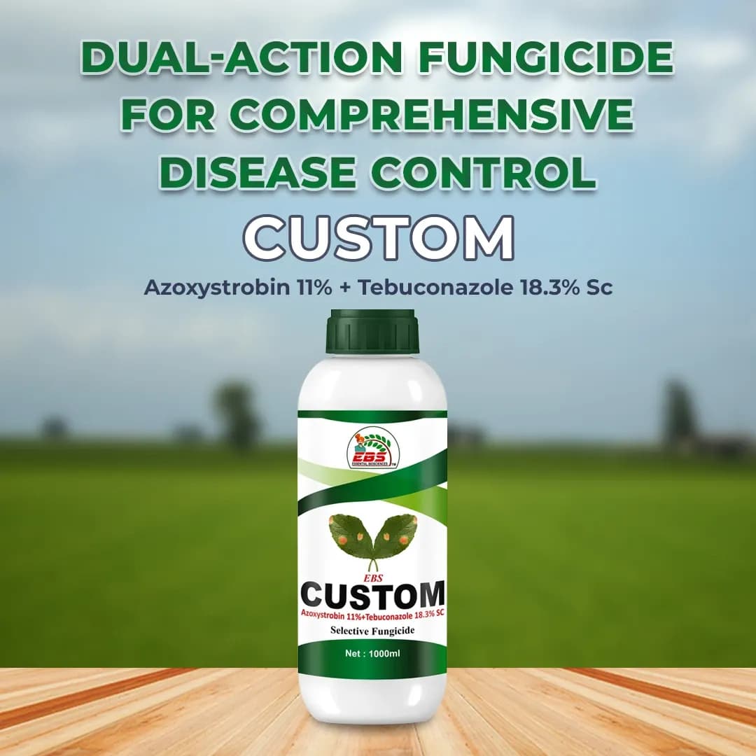 EBS Azox-Tebu Azoxystrobin 11% + Tebuconazole 18.3% SC Systemic Fungicide - Image 3