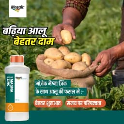 Mosaic Magna Zinc 39.5% Zinc Liquid Foliar Nutrition, Zinc Deficiency Correction And Enhanced Crop Growth 3
