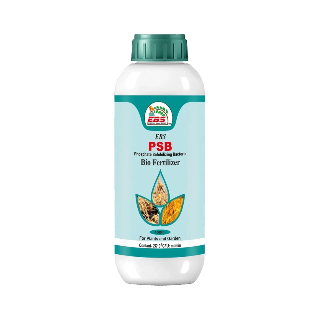 EBS PSB Phosphate Solubilising Bacteria Bio Fertilizer beneficial to pulses and useful in all crops and under all climates