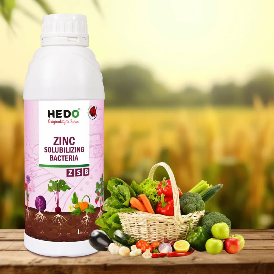 HEDO Zinc Solubilizing Bacteria (ZSB) Liquid Bio Fertilizer, For All Plants, Agricultural & Garden, Helps to Improves Soil Fertility - Image 6