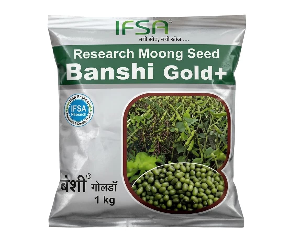 IFSA Banshi Gold Plus Research Moong Seeds Early Maturity High Yield Variety - Image 1