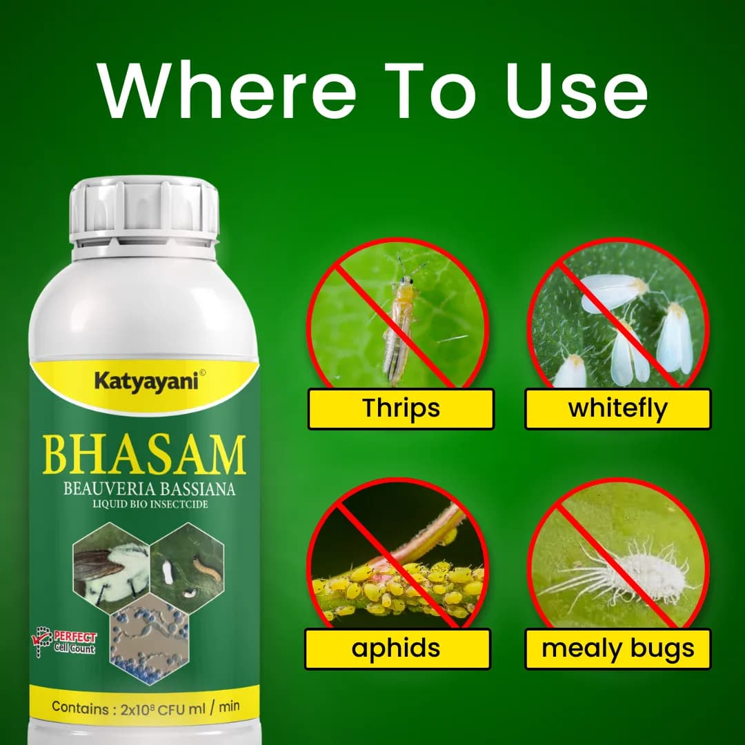 Katyayani Bhasam Beauveria Bassiana Bio Pesticide - Powerful Organic Insect Control for Managing Sucking Pests - Image 4