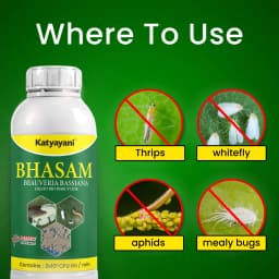 Katyayani Bhasam Beauveria Bassiana Bio Pesticide - Powerful Organic Insect Control for Managing Sucking Pests 4