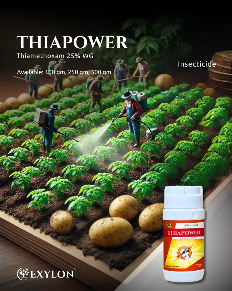 Exylon Thiapower Thiamethoxam 25% WG Insecticide, Effective Sucking Pest Control In Crops