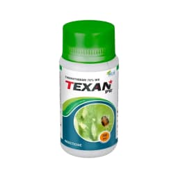 Texan PW - Thiamethoxam 70% WS Systemic Insecticide, To Control Aphids, Jassids, Thrips, and Whiteflies 1