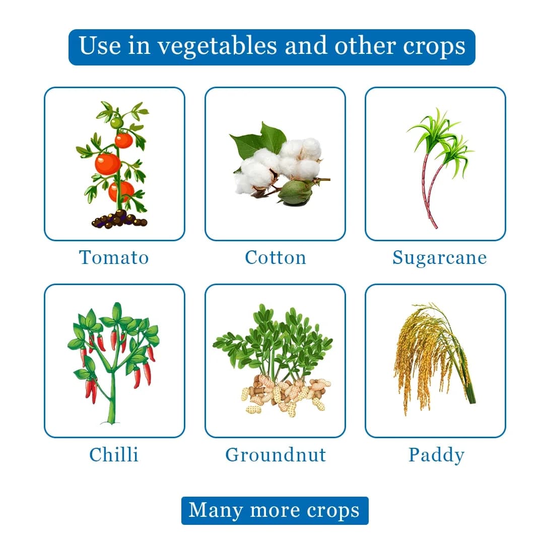 Imida Insecticide - Image 4