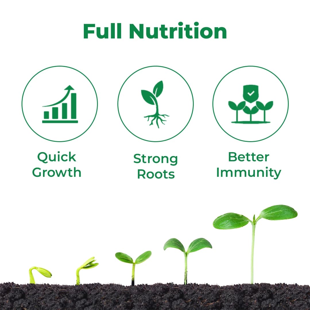 Crystal Nutrozen Systemic Balanced Nutrition, For Optimum Metabolic Activities - Image 3
