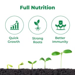 Crystal Nutrozen Systemic Balanced Nutrition, For Optimum Metabolic Activities 3