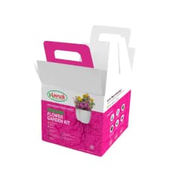 Amruth Organic Flower Kit, Garden Kit, DIY Kit, Grow Your Own Flowers in Kitchen Garden 1