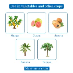 Maxplus Trap with Fruit Fly Lure (Bactrocera Correcta, Zonata, Dorsalisa Pheromone Lure) For Mango, Guava, Sapota, Citrus, Banana, and Papaya 4