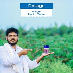 HPM 7-STAR Thiamethoxam 25% WG Insecticide, Excellent Control of Many Sucking and Chewing Pests 5