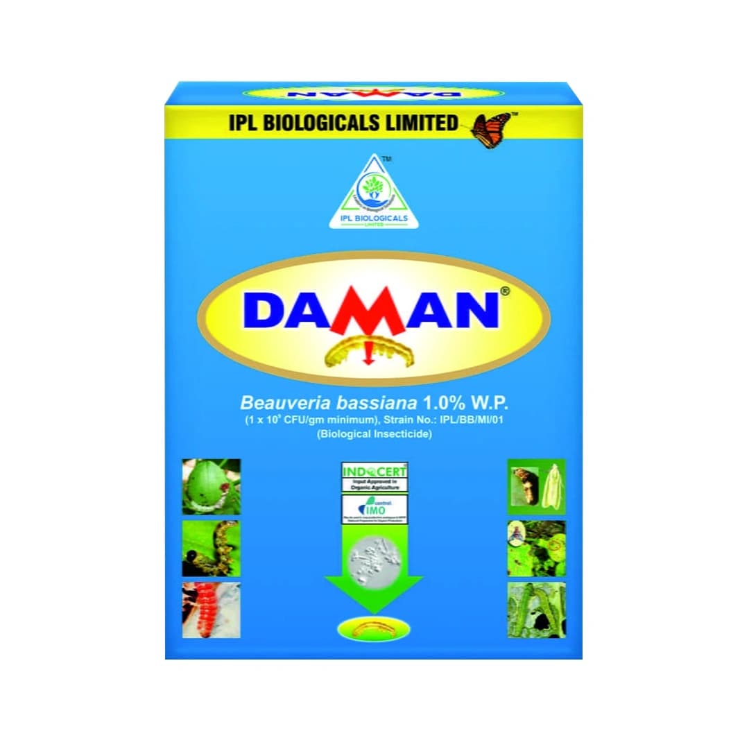 IPL Daman Beauveria Bassiana Bio Insecticide, Effective Control of Root Borer, Caterpillars & Sucking Pests - Image 1