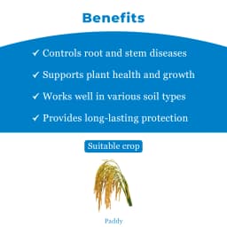 Agriventure Valida (Validamycin 3% Sl) Fungicide, Control The Sheath Blight Disease Of Rice Very Effectively 4