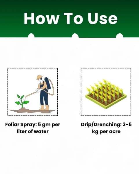 Katyayani NPK 00:52:34 (Mono Potassium Phosphate) Water Soluble Fertilizer For Promoting Flowering and Root Development In All Types of Crops - Image 4