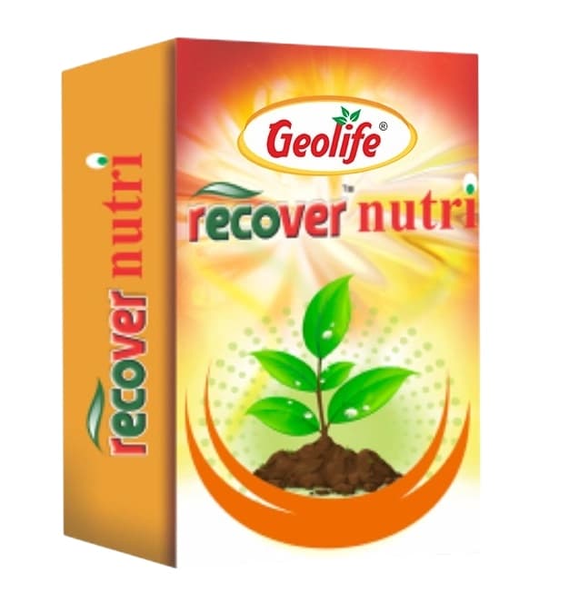 Geolife Recover Nutri Plant Immunity Builder, Non Toxic Fungus Antioxidant, Effective Against Fungus Diseases, Develop Immunity In Plants - Image 2