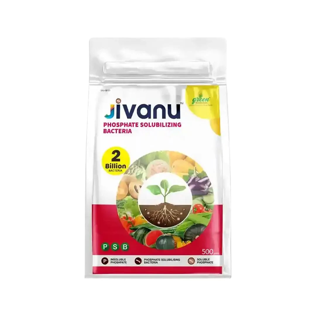 Jivanu Phosphate Solubilizing Bacteria Bio Fertilizers, Increase Stem Strength