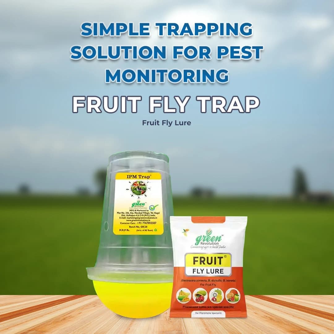 Fruit Fly pheromone Trap Set For 1 Acre and Lure For Bactrocera Correcta, Zonata, Dorsalisa. - Image 2