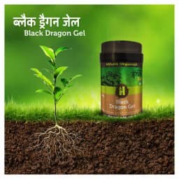 Black Dragon Gel (Humic Acid + Seaweed + Fulvic Acid) Natural Organic Fertilizer Containing Micro and Macro Nutrients, Suitable for all Crops 3
