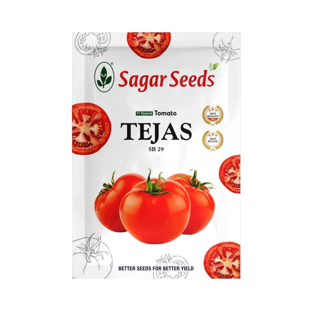 Sagar Tejas SB 29 Tomato Seeds - (Tamatar Seeds) Firm Fruits, Ideal For Kharif and Rabi Seasons (3000 Seeds Pack) - Image 1