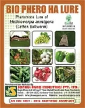 Combo Pack Bio Phero Ha Helicoverpa Armigera Lure (Cotton Bollworm) & Funnel Trap - Image 2
