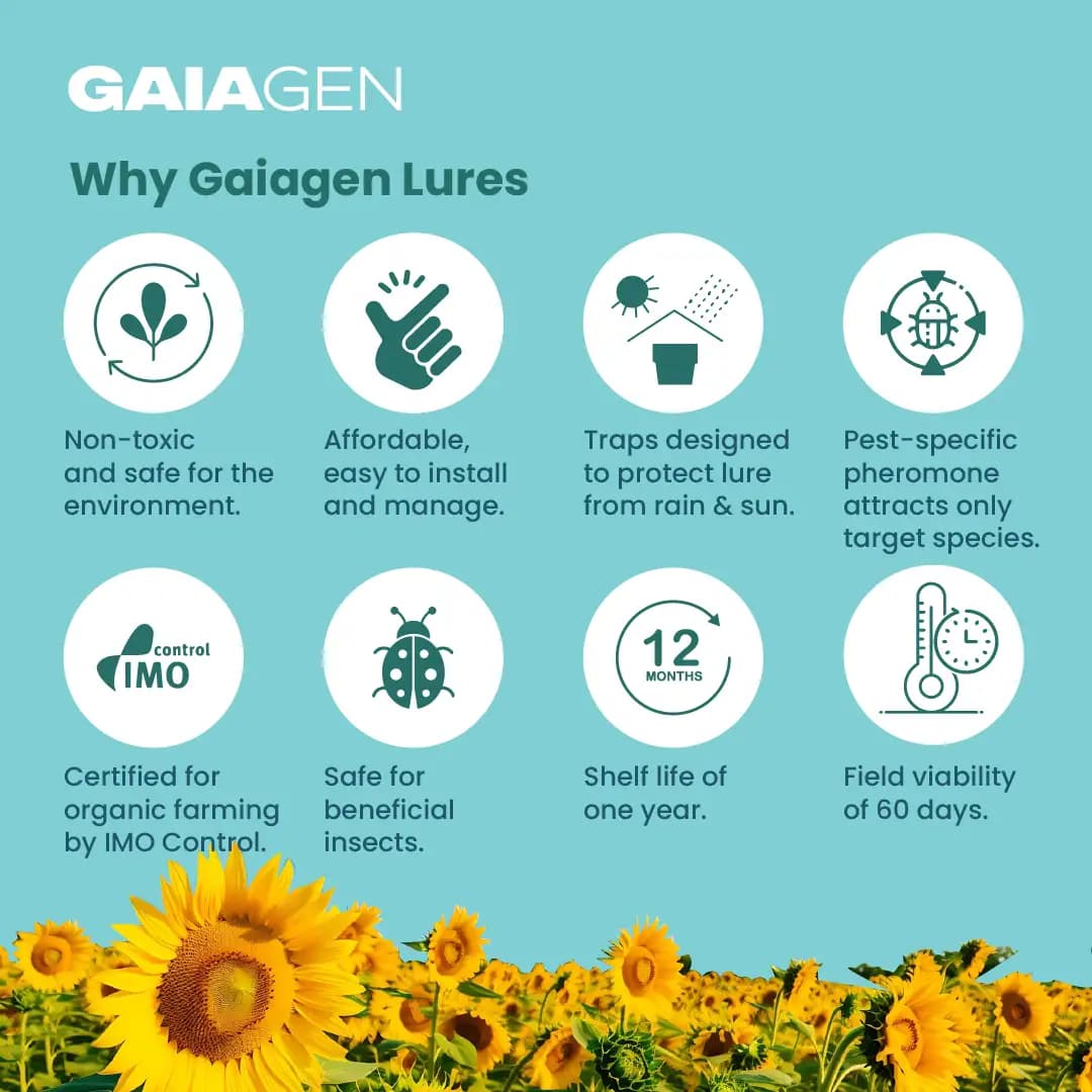 Gaiagen Pheromone Lure For American Bollworm (Helicoverpa Armigera) And Insect Funnel Traps, IMO Certified - Image 8