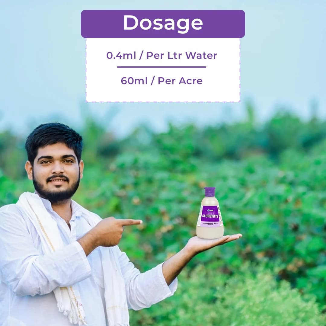 Clorentis Insecticide - Chlorantraniliprole 18.5% SC - Image 5