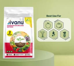 Jivanu (Potassium Solubilizing and Mobilizing Bacteria KSB, KMB) Bio Fertilizers 2