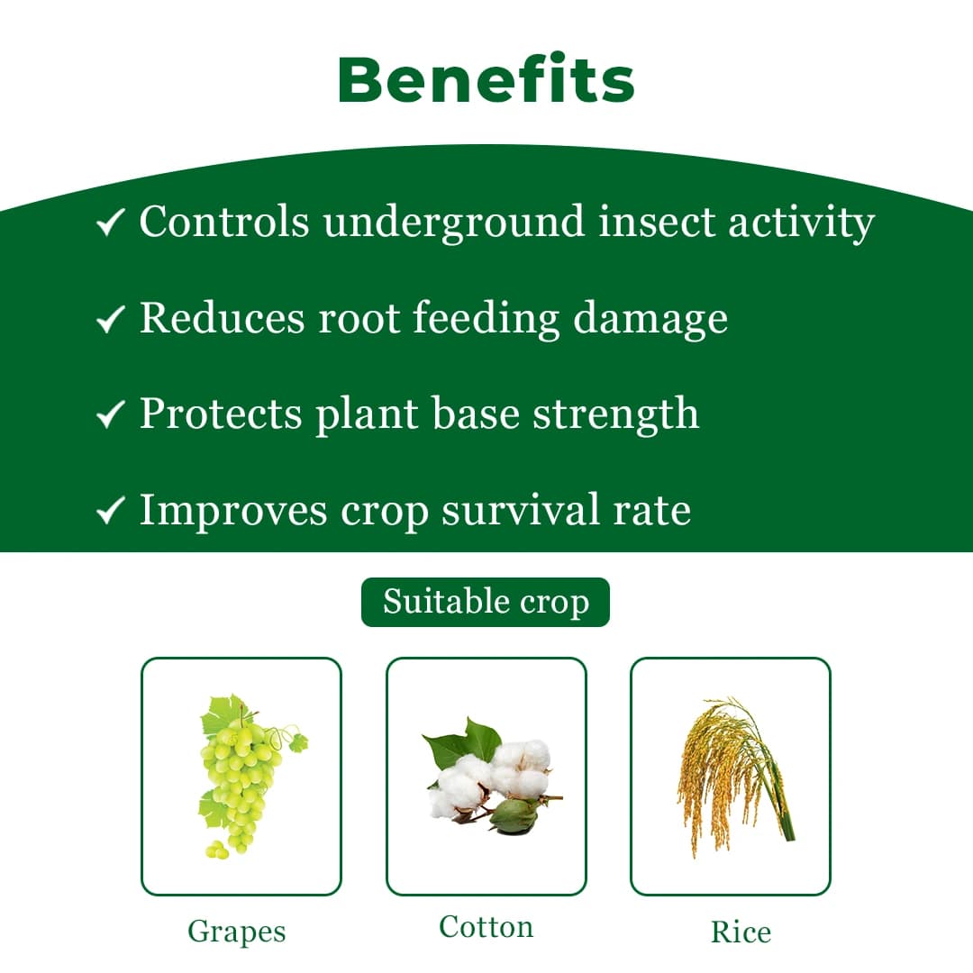Exylon Cyclone 50 Chlorpyriphos 50% EC Insecticide, Broad-Spectrum, Effective Sucking And Chewing Pests For Crops - Image 4