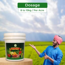 Anand Pancham Granules (Zyme Granules), Unique Formulation to Increase Plant Growth and Yield, Enhances The Root And Shoot Development 5