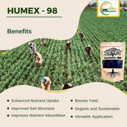 Crop Kraft Humex 98 Humic Acid 98%, Premium Humic Acid Flakes For Soil Enhancement & Plant Growth, Safe For Organic Farming And Home Gardening 2