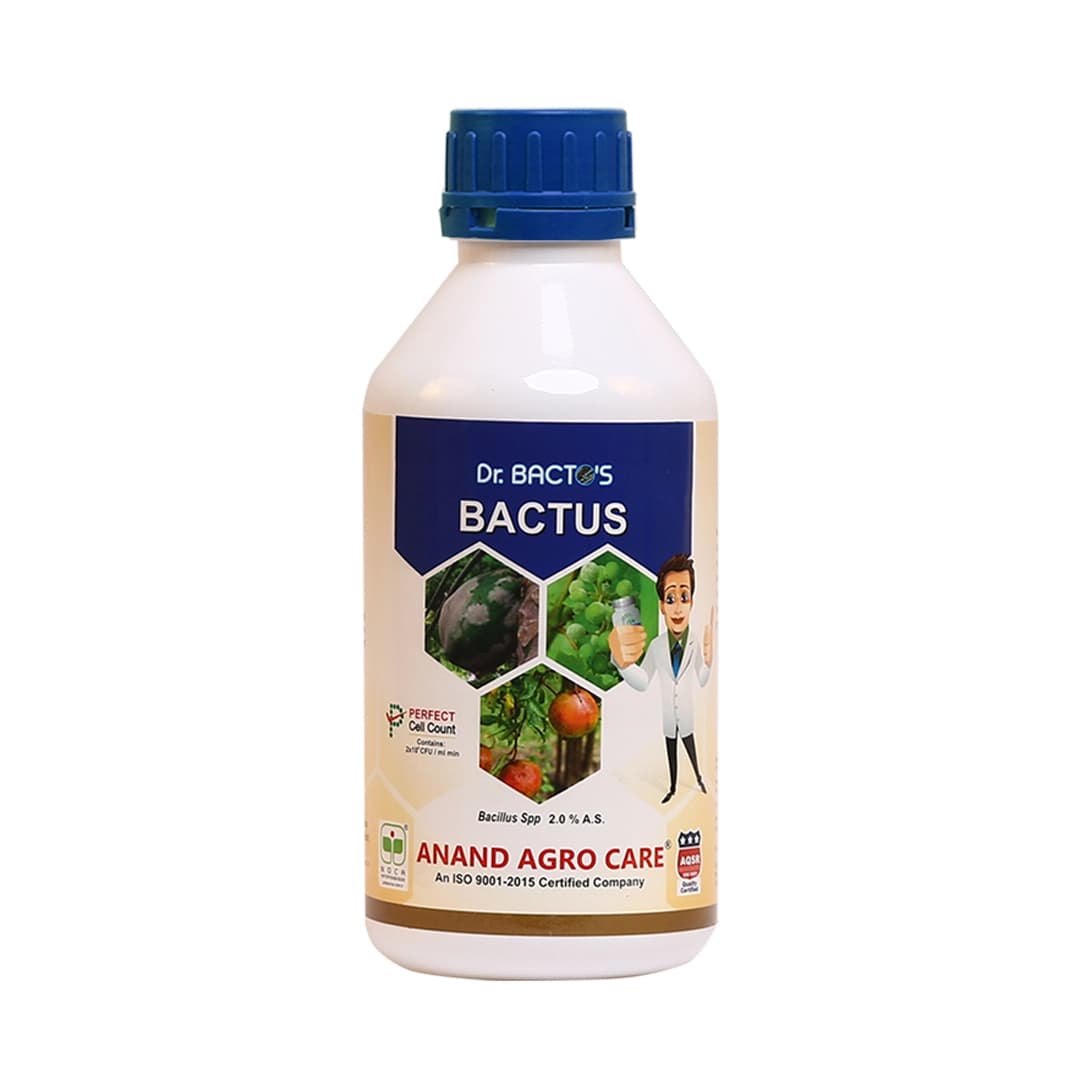 Dr. Bacto\'s Bactus (Bacillus subtilis) Control Anti Bacterial Diseases, It is An Eco-Friendly Biological Fungicide Based on Bacillus Subtilis