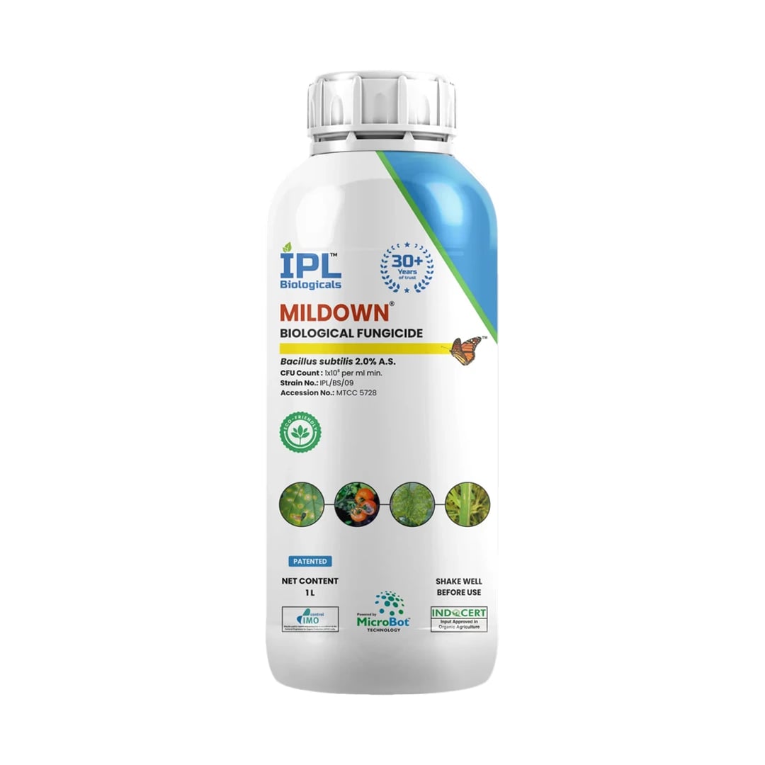 IPL Mildown Fungicide - Bacillus Subtilis 2.0% AS