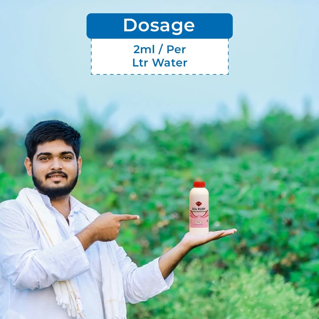 Anand Sea Ruby (Liquid) Green Seaweed Extract, Provides Natural N.P.K, Improves The Development Of Roots And Shoots - Image 5