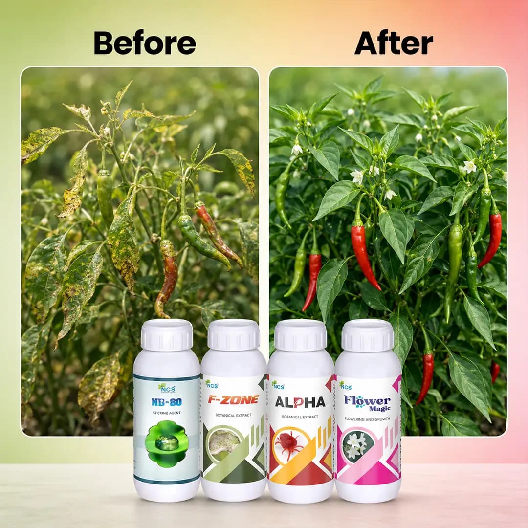 Suraksha Kit For Thrips And Mites Control at Flowering Stage 45-80 Days (F-Zone 250 ML + Alpha Bio 250 ML + Flower Magic 250 ML + NB 80 250 ML) - Image 6