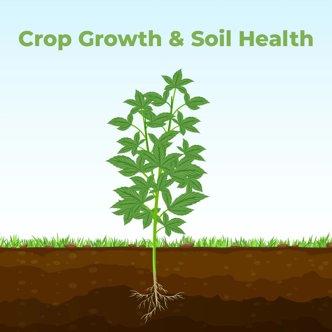 Growth and Development Combo (Farmtone NPK 19:19:19 3 Kg + HUBEL Humic Acid 98% 1.2 Kg) - Image 3