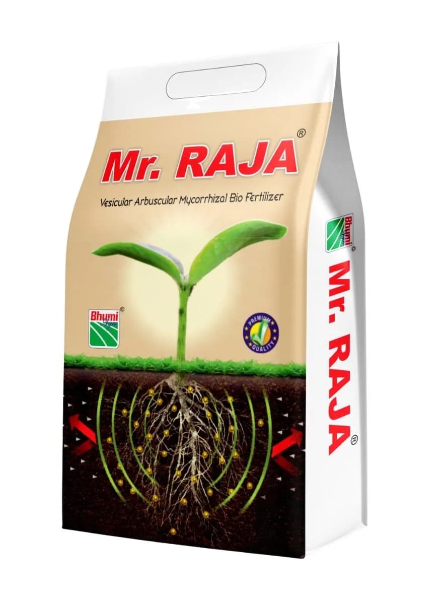 Bhumi Mr. Raja VAM (Vesicular Arbuscular Mycorrhiza) Bio Fertilizer, Helps In Root Development & Increases White Roots Organically - Image 1