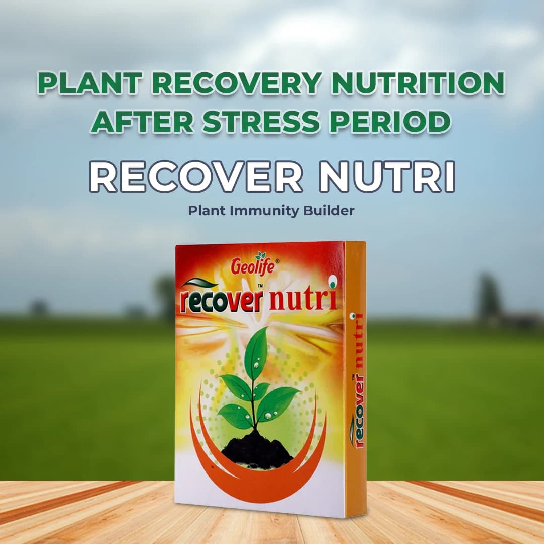Geolife Recover Nutri Plant Immunity Builder, Non Toxic Fungus Antioxidant, Effective Against Fungus Diseases, Develop Immunity In Plants - Image 1