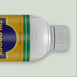 GSP Chlorocil Chlorpyrifos 20% EC Insecticide, Effective Pest Control, Suitable For A Variety Of Crops 6