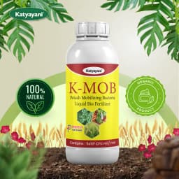 Katyayani K-MOB Potash Mobilizing Bacteria Bio Fertilizer, Boosting Soil Potash Availability For Enhanced Crop Health 2