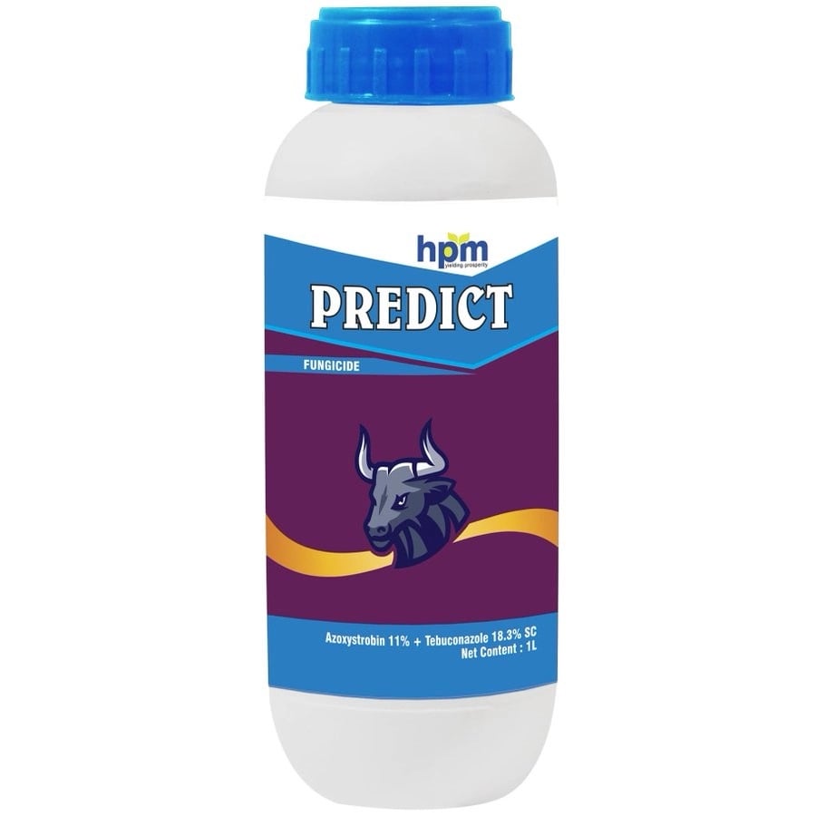 Hpm Predict Azoxystrobin 11% + Tebuconazole 18.3% SC Fungicide, Dual Action Crop Protection