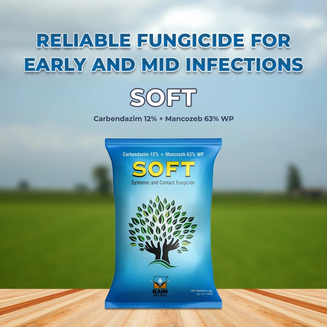Soft Fungicide - Carbendazim 12% + Mancozeb 63% WP - Image 2
