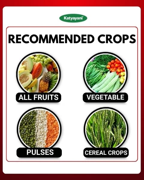 Katyayani Finish It Insecticide, Control For Cabbage Butterfly, Armyworm, Natural Larvicide For Crops (All In One Larvicide) - Image 4