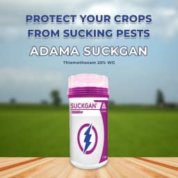 Adama Suckgan - Thiamethoxam 25% WG, Highly Effective And Systemic, Belongs to Neonicotinoid Group. 2