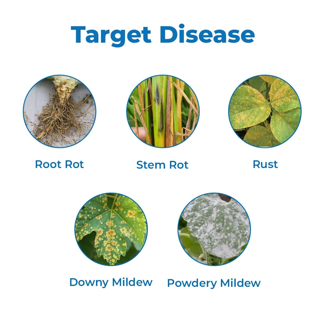 EBS All In One Organic Fungicide, Effective Protection Against Fungal Diseases - Image 4