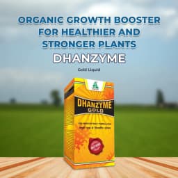Dhanzyme Gold Liquid - Sea Weed Extract 2