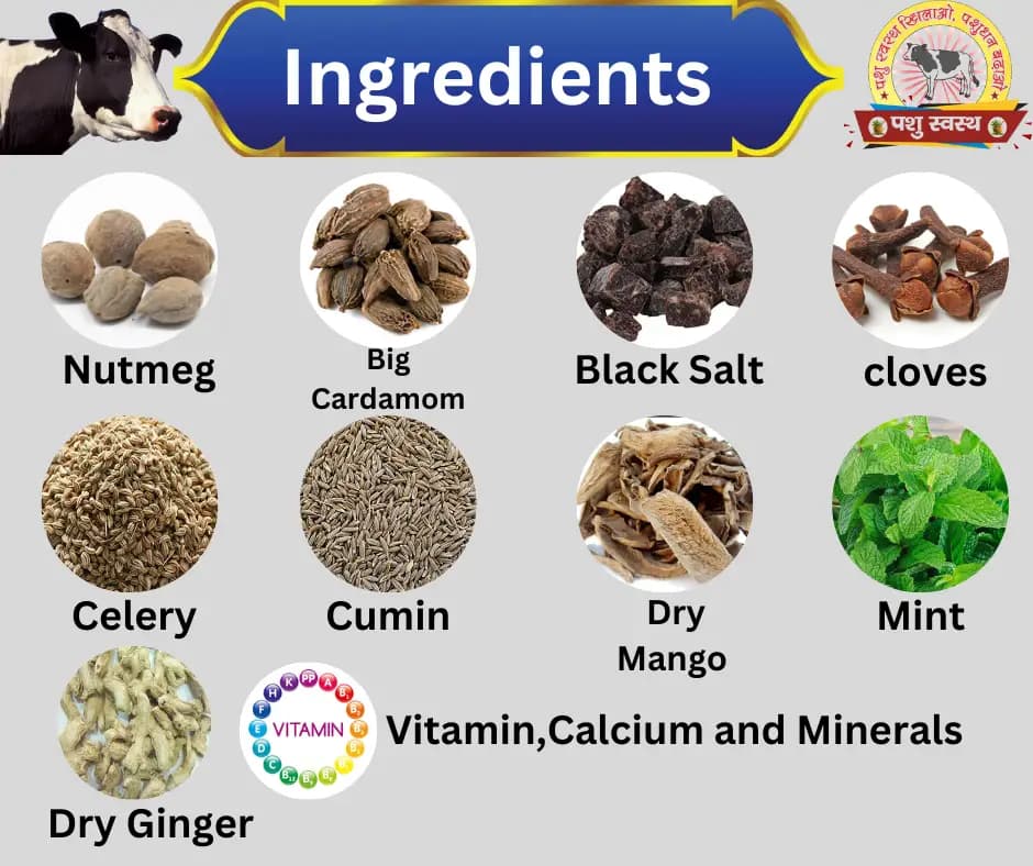 PASHU SVASTH PSF GOLD FANKI-A, Complete Animal Health Supplement Made From Traditional Herbs - Image 4