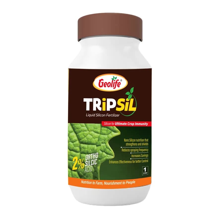 Geolife TRiPSiL 2% Ortho Silicic Acid 2% Liquid For Plant Immunity and Pest Resistance - Image 1