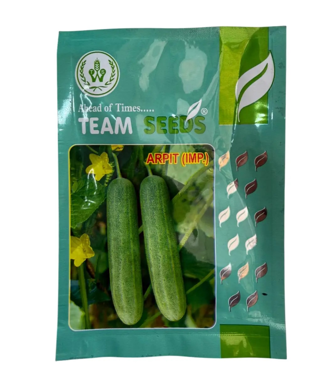 Team Seeds F1 Hybrid Arpit Cucumber Seeds Early High Yield Variety
