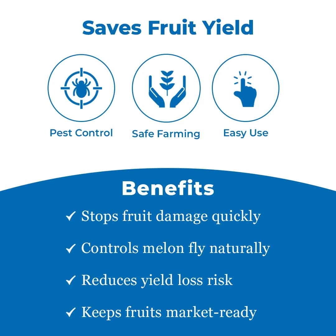 Maxplus Trap With Melon Fly Lure, For Controlling Bactrocera Cucurbitae, For Water Melon, Musk Melon, Cucumber, Bottle Gourd, Pumpkin, all Vegetables - Image 3